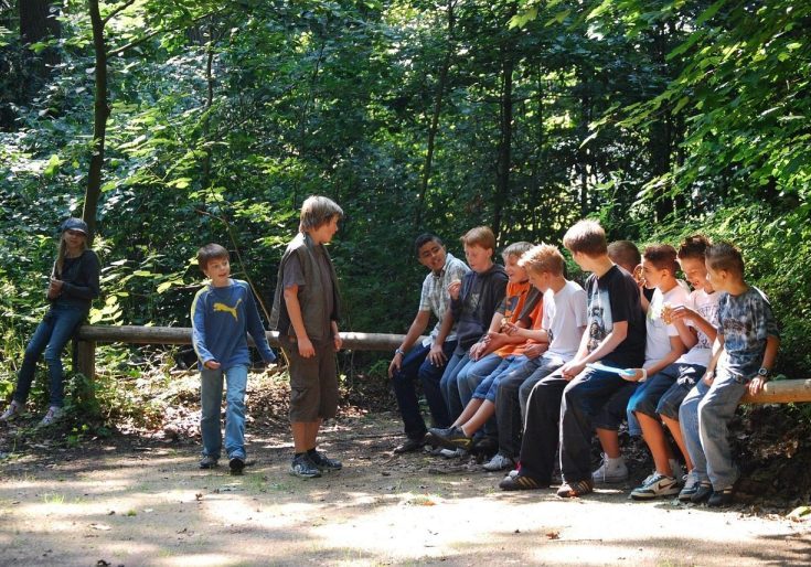 teenager, nature, youth, forest, group, youthful, guys