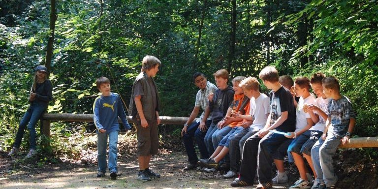 teenager, nature, youth, forest, group, youthful, guys